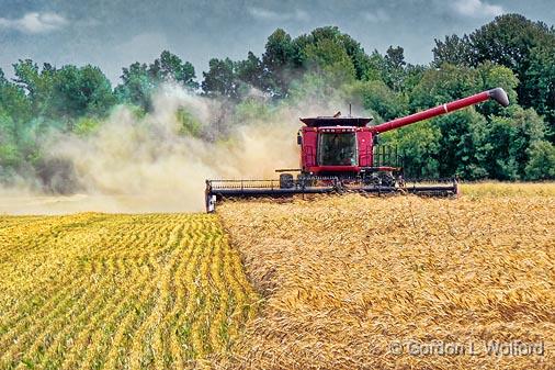 Harvesting A Field_P1020644.jpg - Photographed near North Gower, Ontario, Canada.